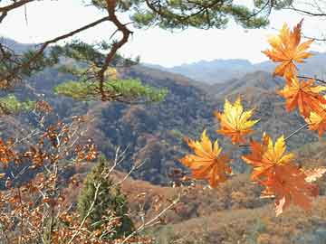 甘肃山丹县最新杀人案，悲剧引发深思