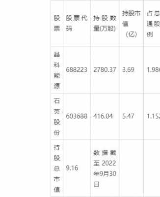 任向敏最新持股全景解析，深度探讨、前景展望